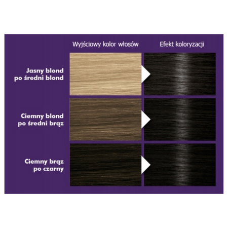 Palette Farba do włosów N1 (1-0) Czerń