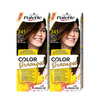 Palette Szampon Koloryzujący 341 Czekolada 24 myć x2