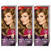 Wellaton Intense Farba do włosów 6/0 Ciemny Blond X3