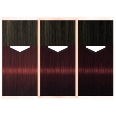 Palette Natural Color Farba do Włosów Brąz 868 x2