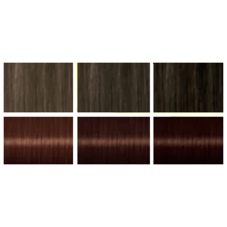 Palette Szampon Koloryzujący 244 Czekoladowy Brąz x2