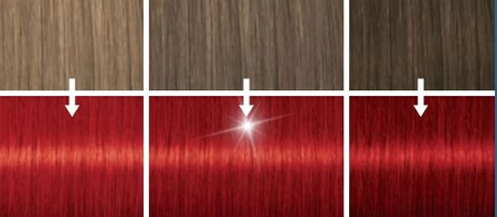 Farba do Włosów Live Kolor Trwały 035 Czerwień