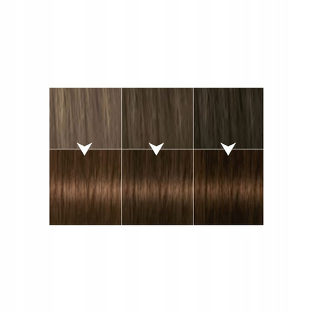 Farba do włosów Syoss Color 5-8 Orzechowy Brąz