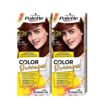 Palette Szampon Koloryzujący 4-68 Kasztan 24 myć x2