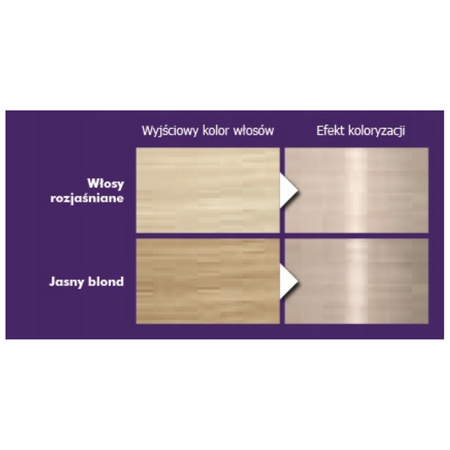 Palette Farba włosów C9 (9,5-1) Srebrzysty Blond