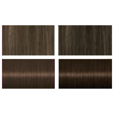 Palette Szampon Koloryzujący 221 Średni Brąz 24 myć x2