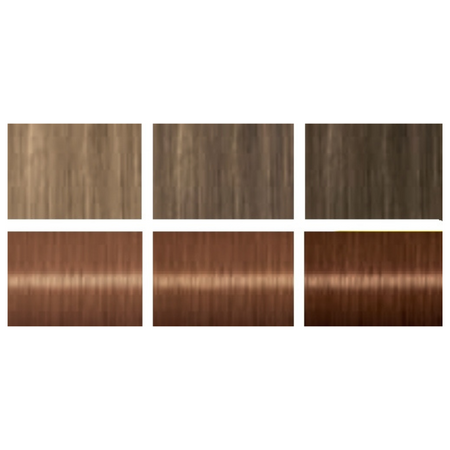 Palette Szampon Koloryzujący 317 Orzechowy Blond x2