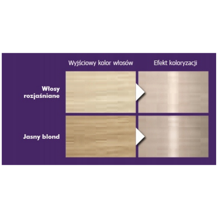 Palette Farba włosów C9 (9,5-1) Srebrzysty Blond x2