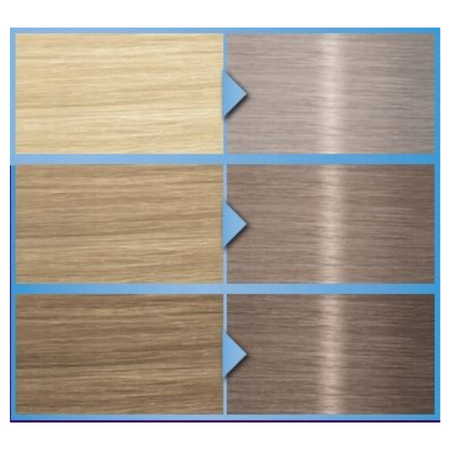 Palette Farba do włosów 12-21 Popielaty Sreb Blond x2