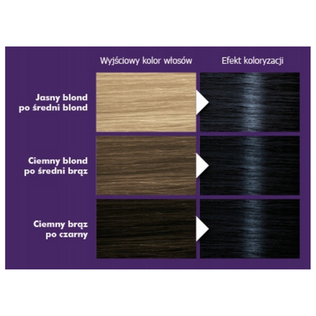 Palette Farba do włosów C1 (1-1) Granatowa Czerń