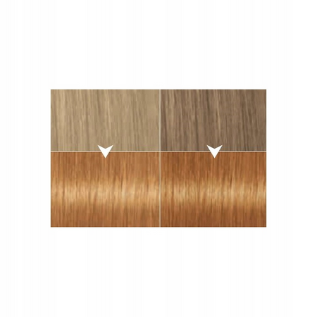 Farba do włosów Syoss Color 8_7 Miodowy Blond