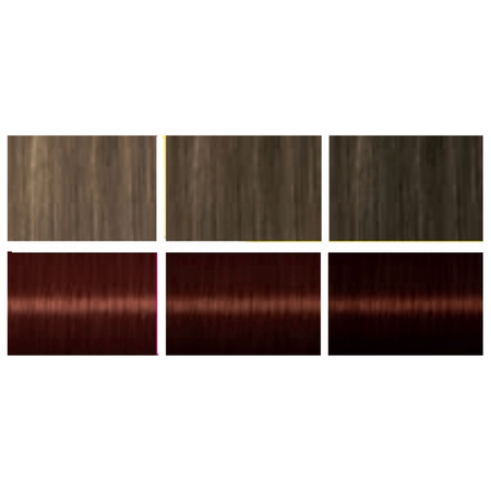 Palette Szampon Koloryzujący 4-68 Kasztan 24 myć x2