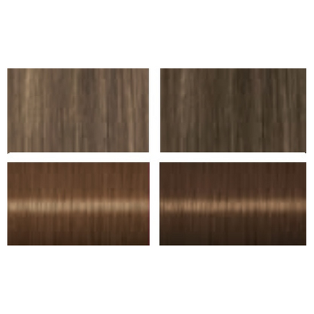 Farby do włosów Palette brązy jasny brąz 6-0 x2