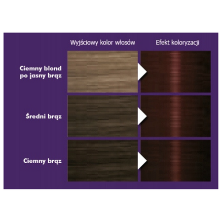 Palette Farba do włosów R2 (3-68) Ciemny Mahoń
