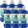 Coccolino Creations Płyn do Płukania Water Lily & Grapefruit 6x1,275L 306pr